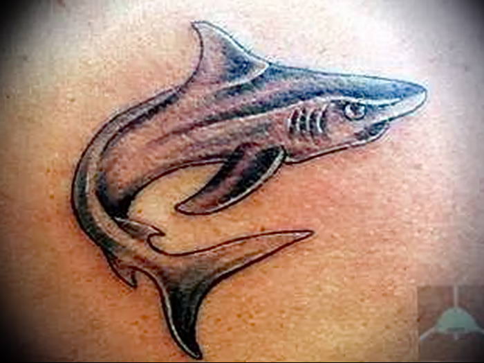 photo tattoo shark от 25.09.2018 №317 - drawing of the predator of the seas - tattoovalue.net