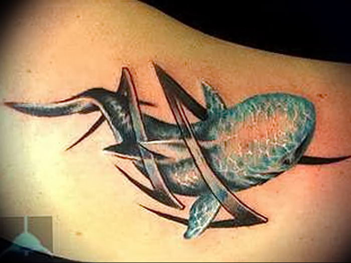photo tattoo shark от 25.09.2018 №318 - drawing of the predator of the seas - tattoovalue.net