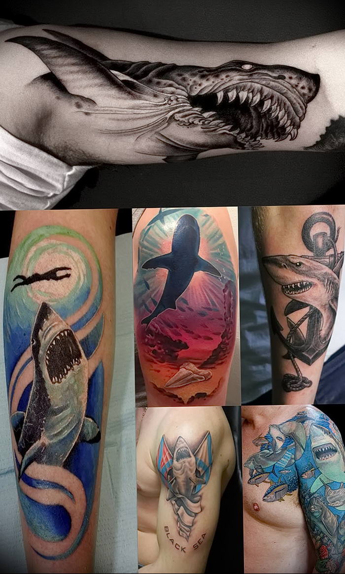 photo tattoo shark от 25.09.2018 №321 - drawing of the predator of the seas - tattoovalue.net
