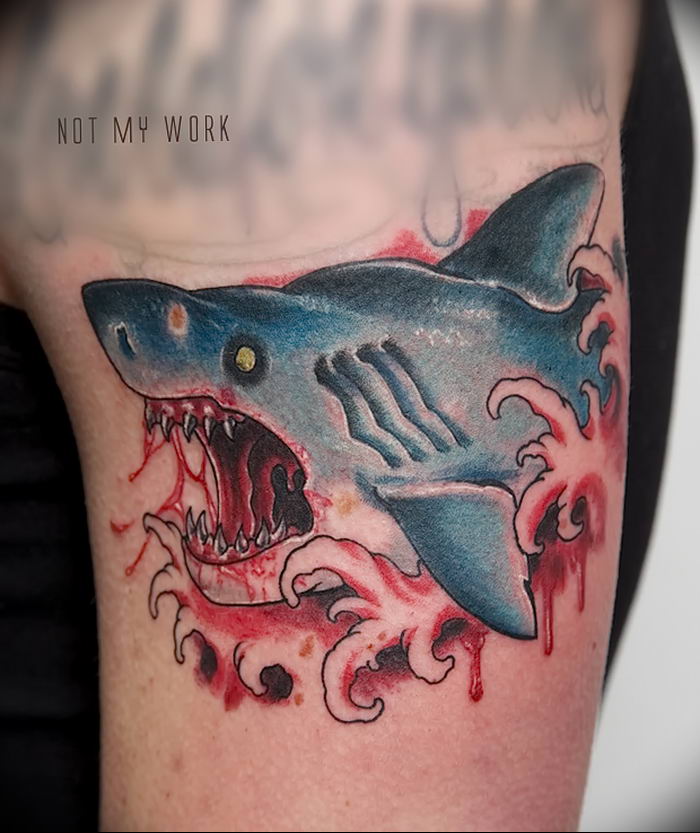 photo tattoo shark от 25.09.2018 №329 - drawing of the predator of the seas - tattoovalue.net