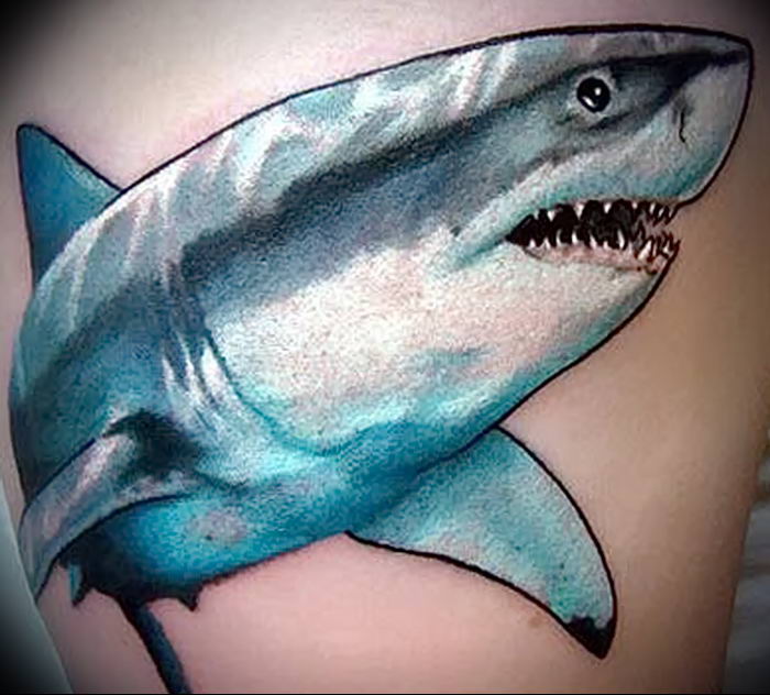 photo tattoo shark от 25.09.2018 №333 - drawing of the predator of the seas - tattoovalue.net