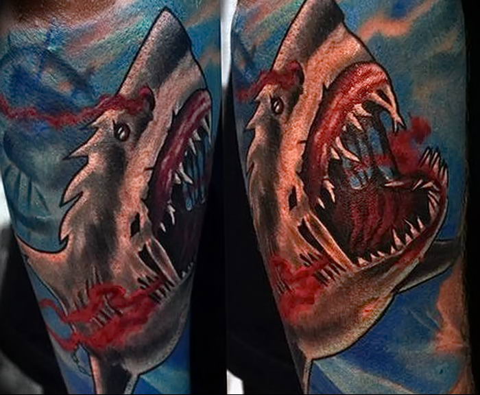 photo tattoo shark от 25.09.2018 №335 - drawing of the predator of the seas - tattoovalue.net