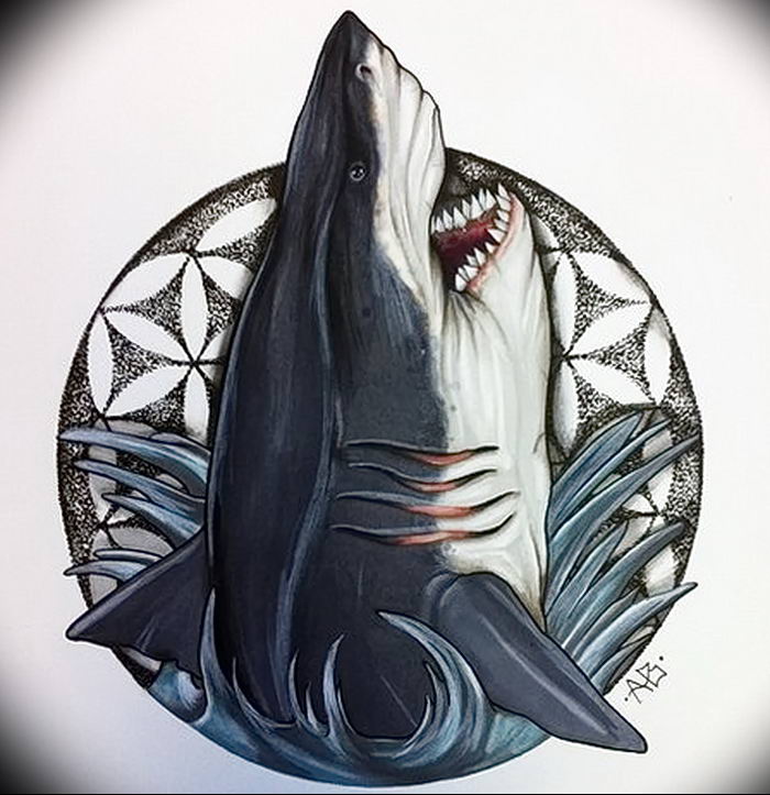 photo tattoo shark от 25.09.2018 №337 - drawing of the predator of the seas - tattoovalue.net