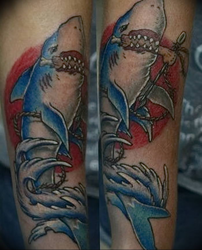 photo tattoo shark от 25.09.2018 №338 - drawing of the predator of the seas - tattoovalue.net