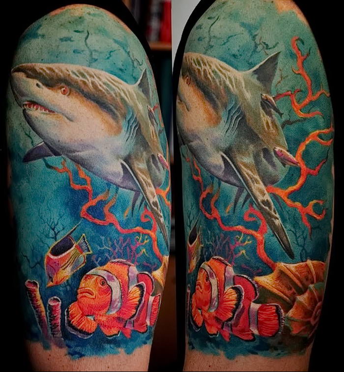 photo tattoo shark от 25.09.2018 №340 - drawing of the predator of the seas - tattoovalue.net