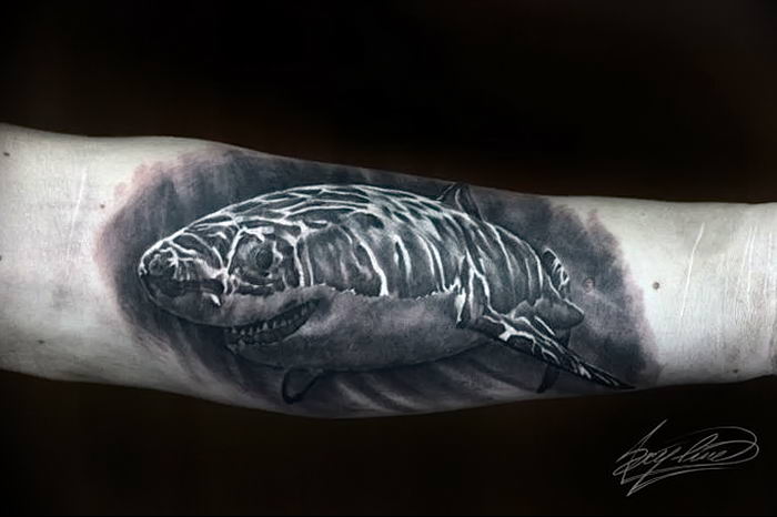 photo tattoo shark от 25.09.2018 №344 - drawing of the predator of the seas - tattoovalue.net