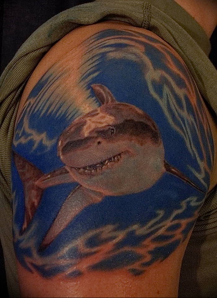 photo tattoo shark от 25.09.2018 №345 - drawing of the predator of the seas - tattoovalue.net