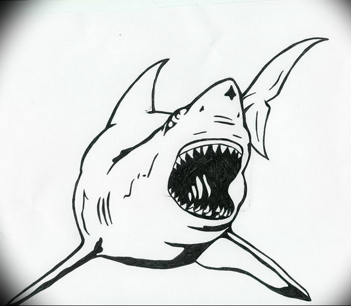 photo tattoo shark от 25.09.2018 №348 - drawing of the predator of the seas - tattoovalue.net