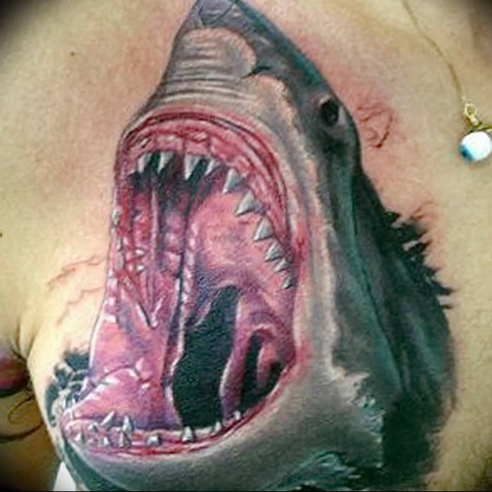 photo tattoo shark от 25.09.2018 №360 - drawing of the predator of the seas - tattoovalue.net