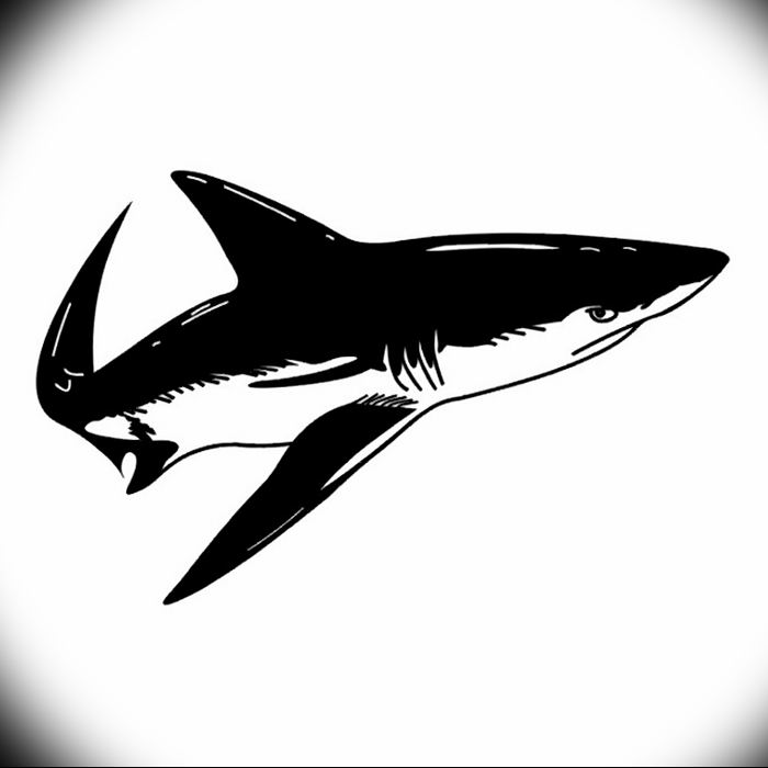 photo tattoo shark от 25.09.2018 №362 - drawing of the predator of the seas - tattoovalue.net