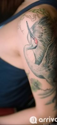 photo tattoo stork от 05.09.2018 №032 – drawing example – tattoovalue.net