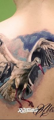 photo tattoo stork от 05.09.2018 №083 – drawing example – tattoovalue.net