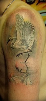 photo tattoo stork от 05.09.2018 №088 – drawing example – tattoovalue.net