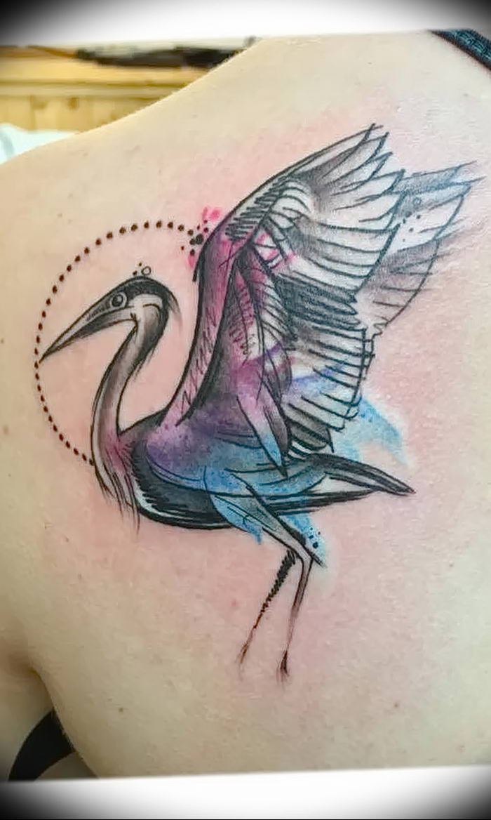 shoebill stork tattooTikTok Search