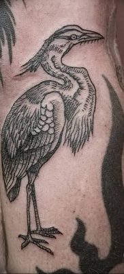 photo tattoo stork от 05.09.2018 №123 – drawing example – tattoovalue.net