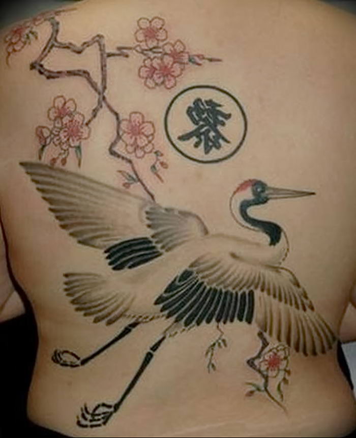 photo tattoo stork от 05.09.2018 №011 - drawing example - tattoovalue.net