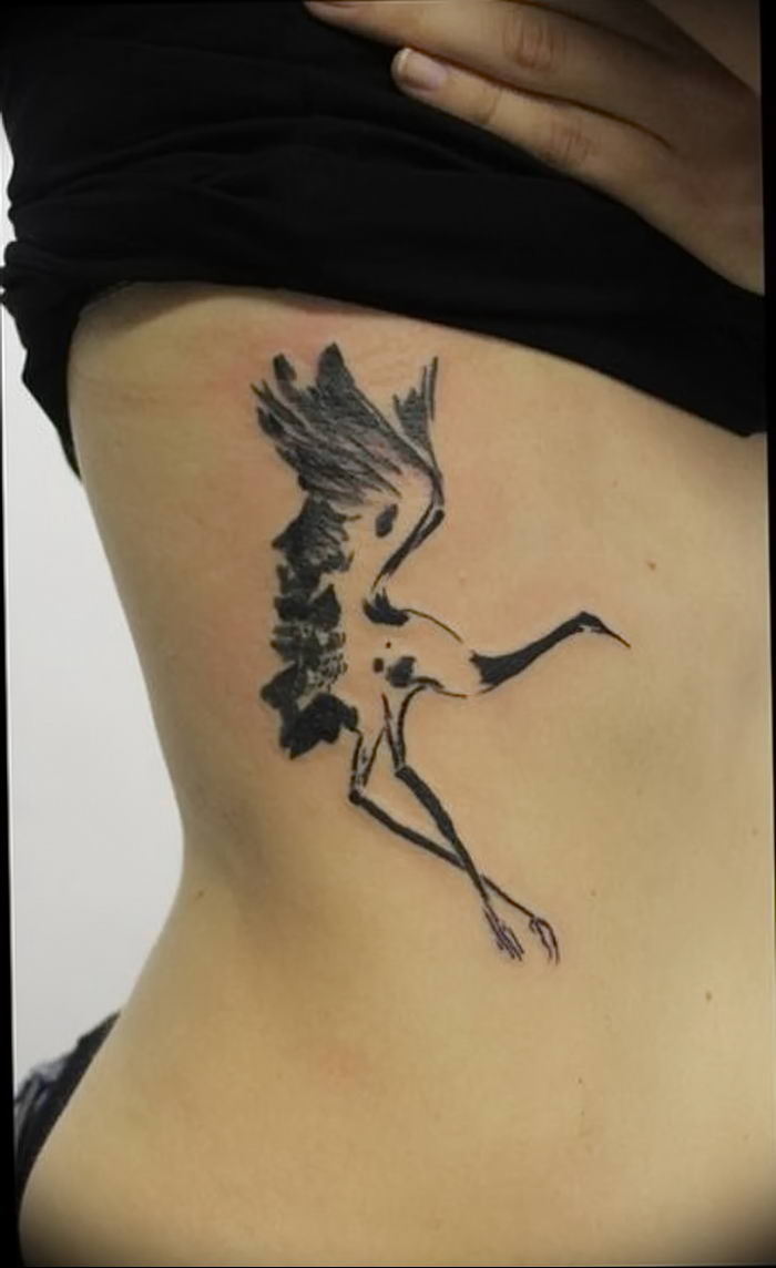 photo tattoo stork от 05.09.2018 №015 - drawing example - tattoovalue.net