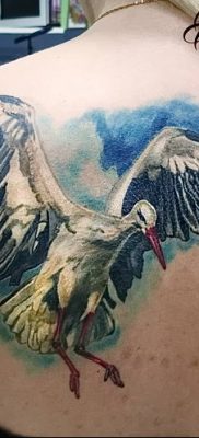 photo tattoo stork от 05.09.2018 №031 – drawing example – tattoovalue.net