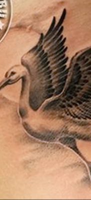 photo tattoo stork от 05.09.2018 №039 – drawing example – tattoovalue.net