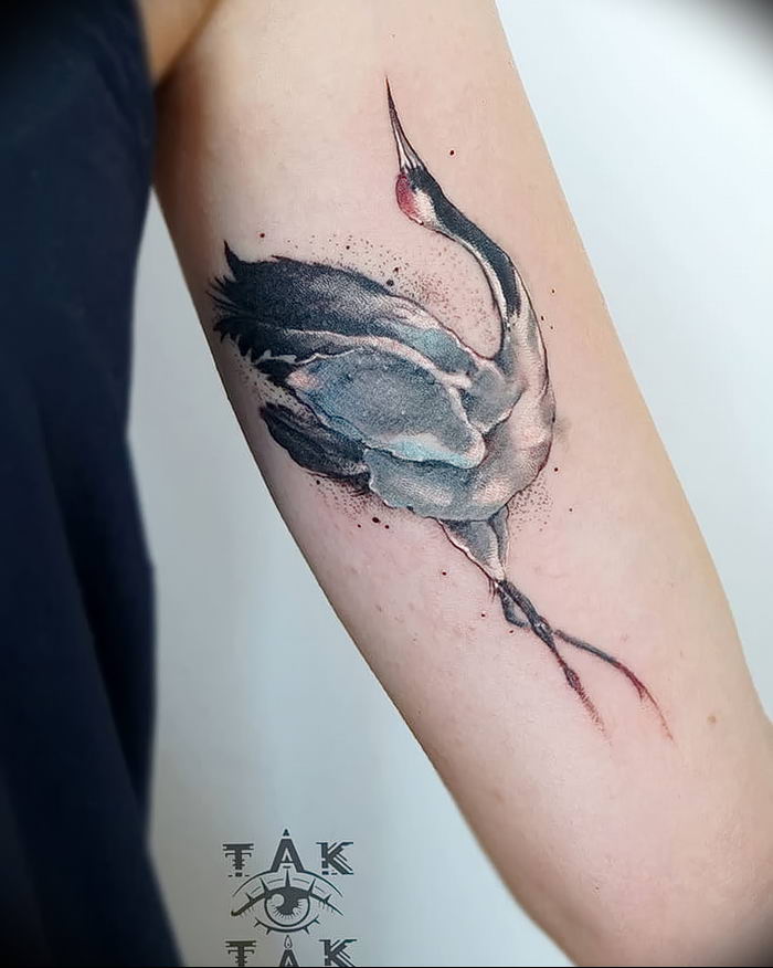 photo tattoo stork от 05.09.2018 №042 - drawing example - tattoovalue.net