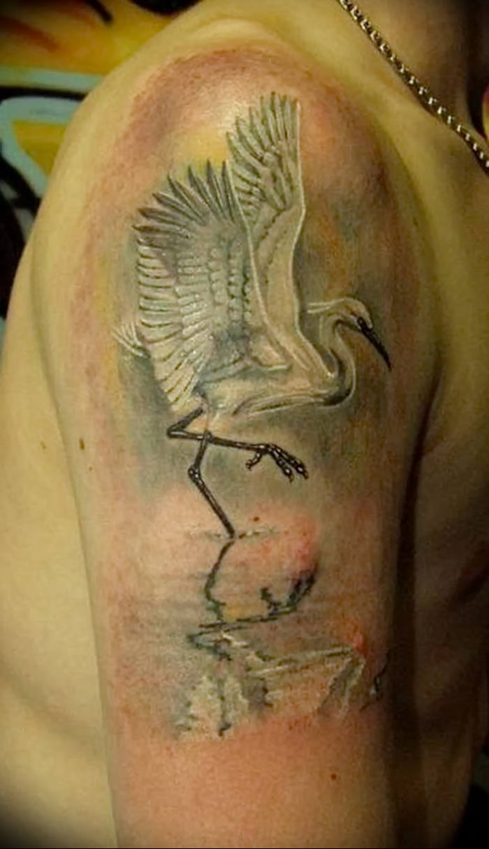photo tattoo stork от 05.09.2018 №045 - drawing example - tattoovalue.net