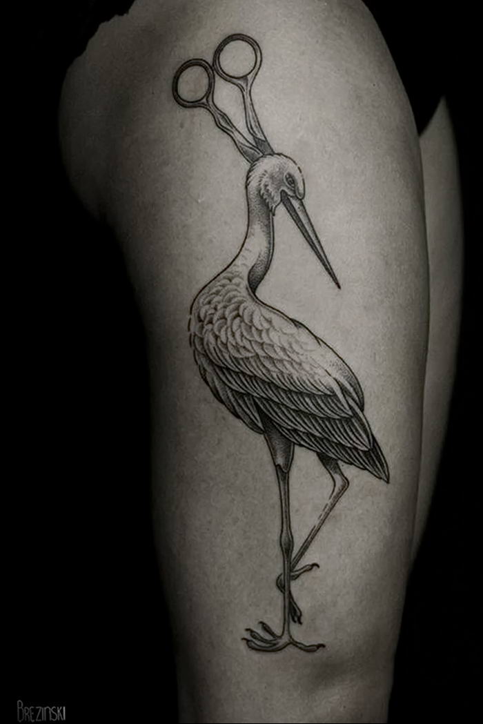 photo tattoo stork от 05.09.2018 №053 - drawing example - tattoovalue.net