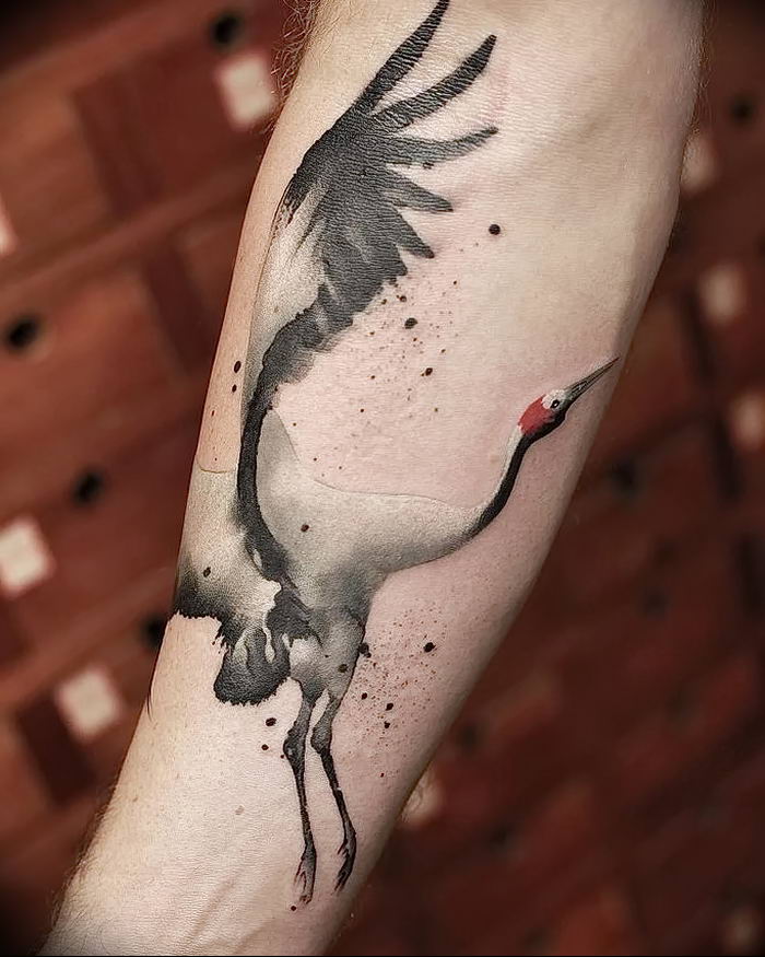 photo tattoo stork от 05.09.2018 №055 - drawing example - tattoovalue.net