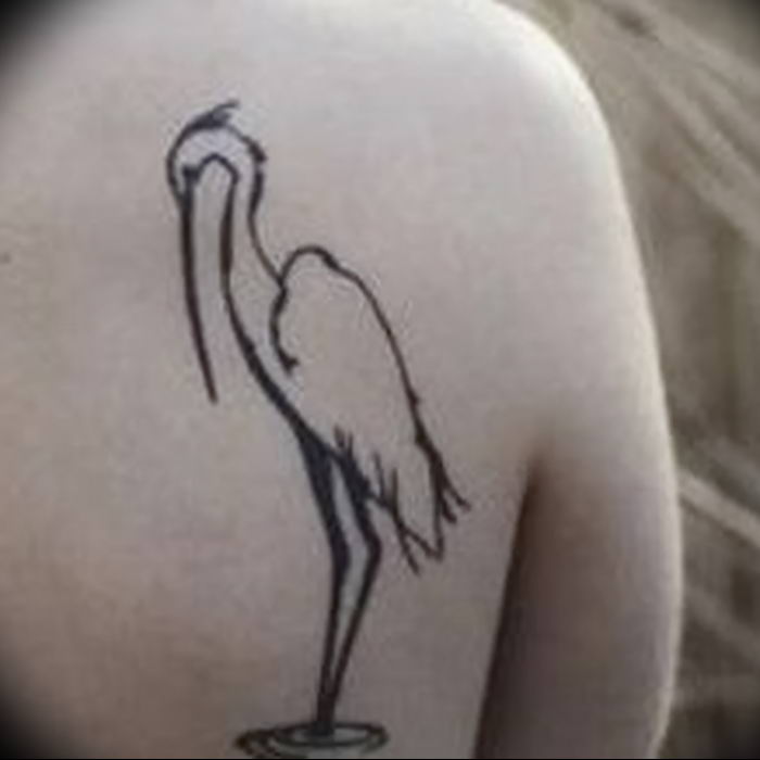 photo tattoo stork от 05.09.2018 №061 - drawing example - tattoovalue.net