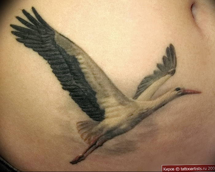 photo tattoo stork от 05.09.2018 №066 - drawing example - tattoovalue.net