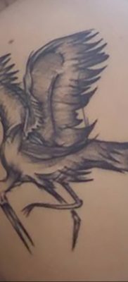 photo tattoo stork от 05.09.2018 №080 – drawing example – tattoovalue.net