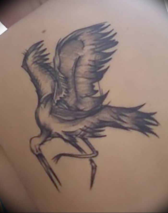 photo tattoo stork от 05.09.2018 №080 - drawing example - tattoovalue.net
