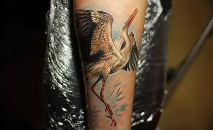 photo tattoo stork от 05.09.2018 №085 - drawing example - tattoovalue.net