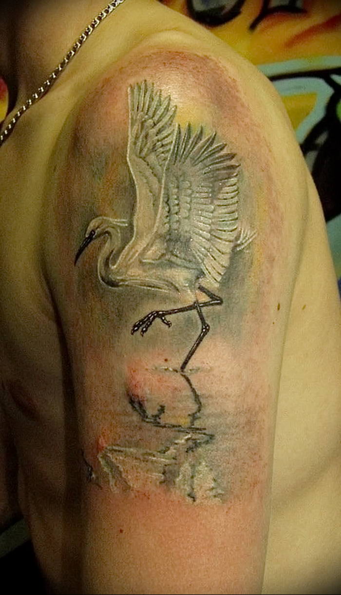 photo tattoo stork от 05.09.2018 №088 - drawing example - tattoovalue.net