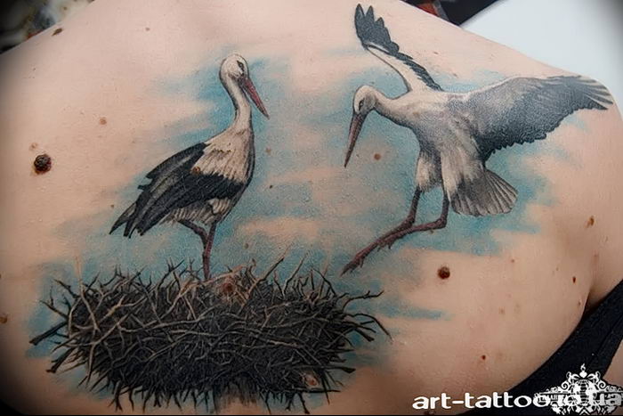 photo tattoo stork от 05.09.2018 №091 - drawing example - tattoovalue.net