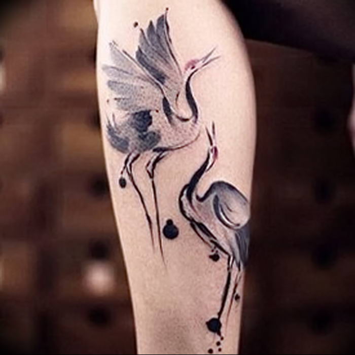 photo tattoo stork от 05.09.2018 №103 - drawing example - tattoovalue.net