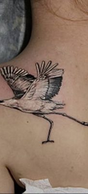 photo tattoo stork от 05.09.2018 №106 – drawing example – tattoovalue.net