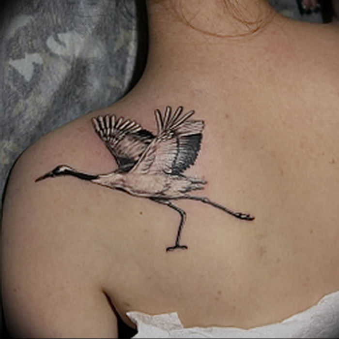 photo tattoo stork от 05.09.2018 №106 - drawing example - tattoovalue.net