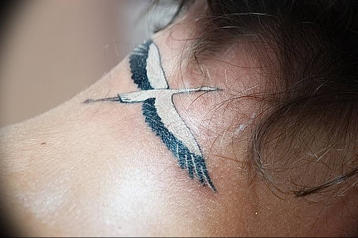 photo tattoo stork от 05.09.2018 №109 - drawing example - tattoovalue.net