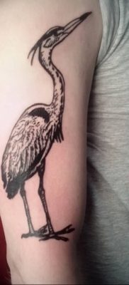 photo tattoo stork от 05.09.2018 №110 – drawing example – tattoovalue.net