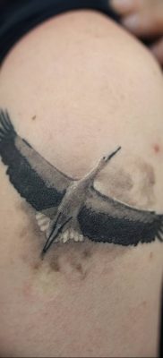 photo tattoo stork от 05.09.2018 №114 – drawing example – tattoovalue.net
