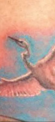 photo tattoo stork от 05.09.2018 №124 – drawing example – tattoovalue.net