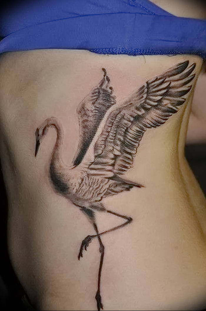 photo tattoo stork от 05.09.2018 №129 - drawing example - tattoovalue.net