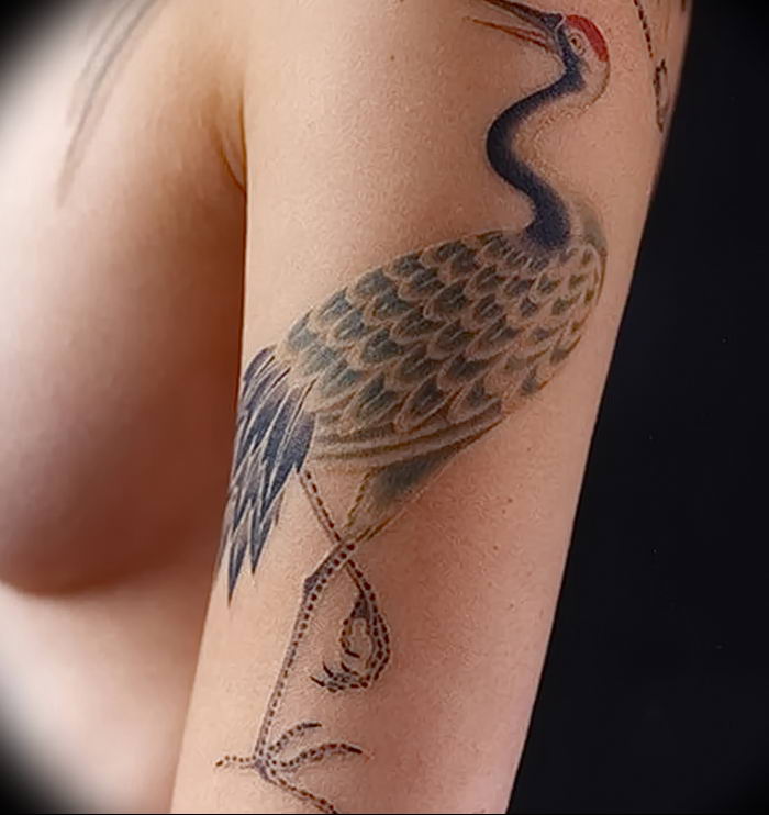 photo tattoo stork от 05.09.2018 №131 - drawing example - tattoovalue.net