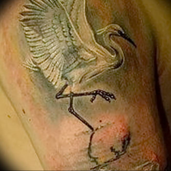 photo tattoo stork от 05.09.2018 №137 - drawing example - tattoovalue.net