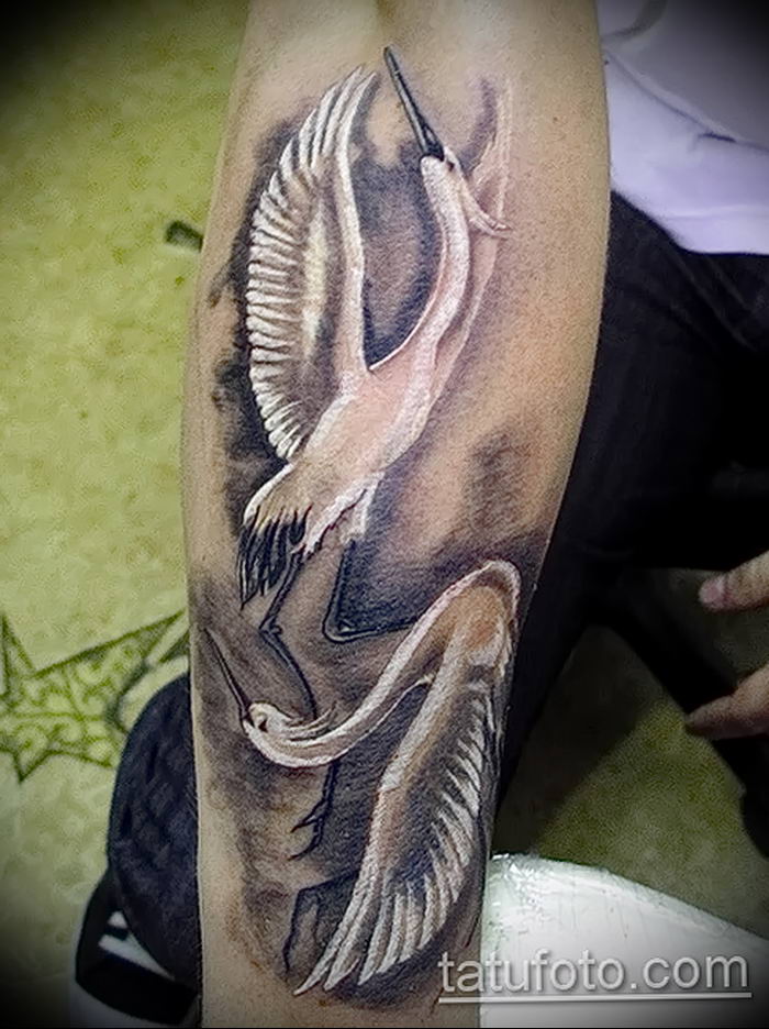 photo tattoo stork от 05.09.2018 №138 - drawing example - tattoovalue.net