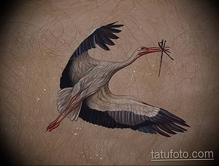 photo tattoo stork от 05.09.2018 №141 - drawing example - tattoovalue.net