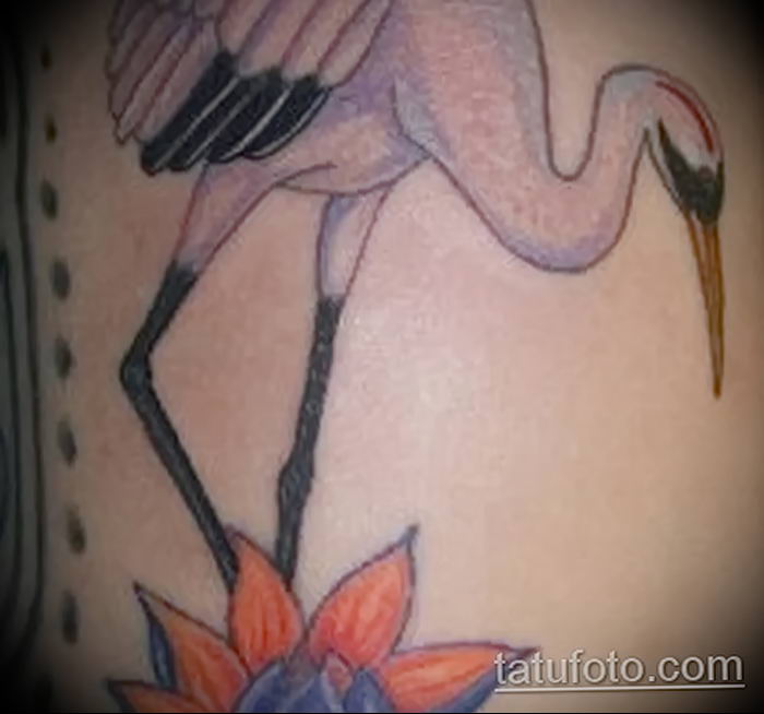 photo tattoo stork от 05.09.2018 №142 - drawing example - tattoovalue.net