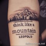 mountain tattoo photo 29.11.2018 №035 - example of a tattoo with a mountain - tattoovalue.net