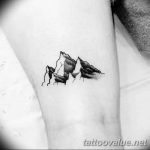 mountain tattoo photo 29.11.2018 №046 - example of a tattoo with a mountain - tattoovalue.net