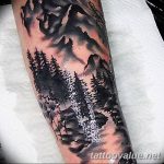 mountain tattoo photo 29.11.2018 №239 - example of a tattoo with a mountain - tattoovalue.net